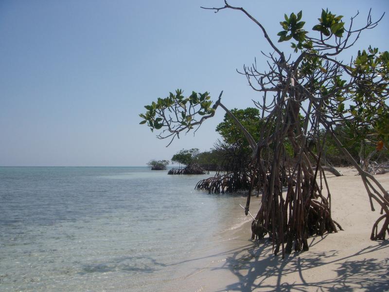 Strand in Cayos Cuervo  