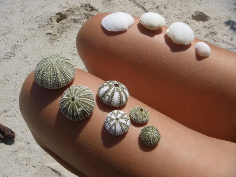 Strandschätze 