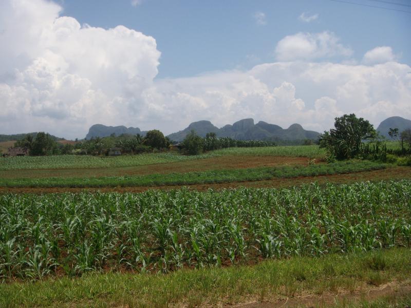 Sierra de los Organos 