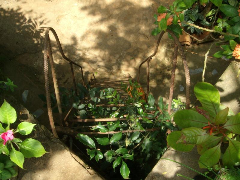 Blick von oben, Jardín de Caridad 