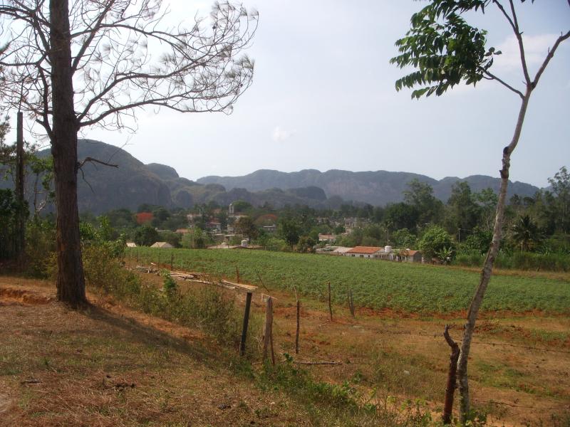 Viñales 