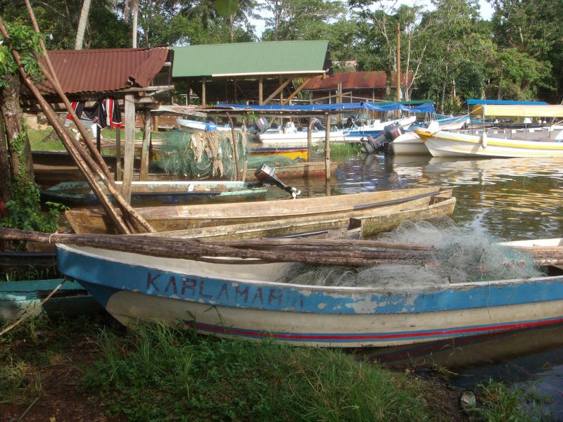 Am Rio Dulce 