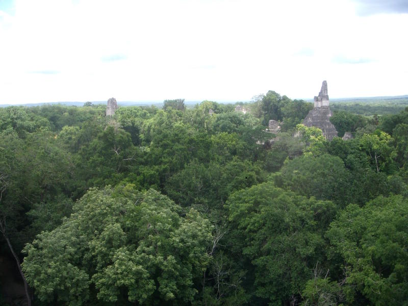 Steinerne Zeugen 