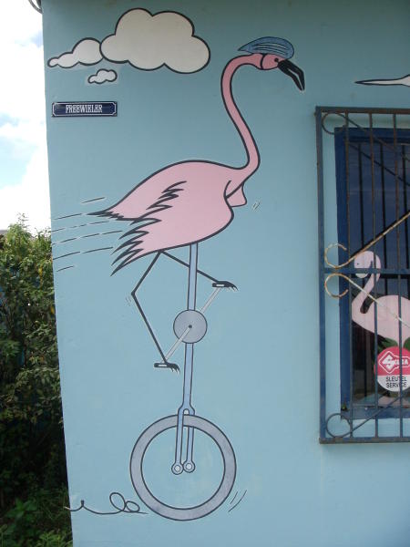 Velovermieter in Kralendijk, Bonaire 