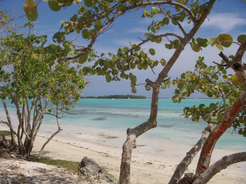 Traumstrand von Boca Chica 