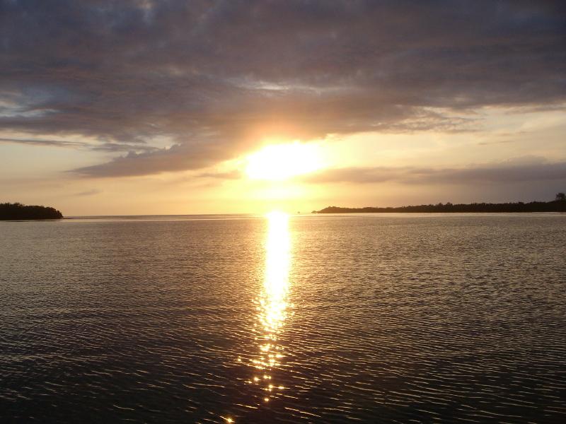 Cayo Algodón Grande, Los Jardines de la Reina 