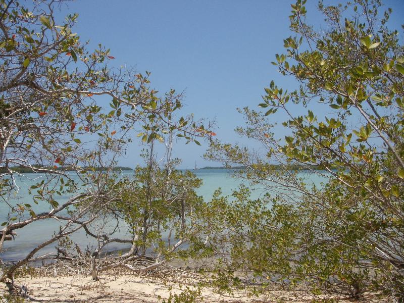 Romantische Einsamkeit, Cayo Algodón Grande 