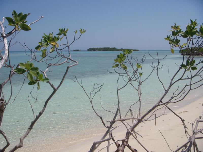 Cayos Cuervo 