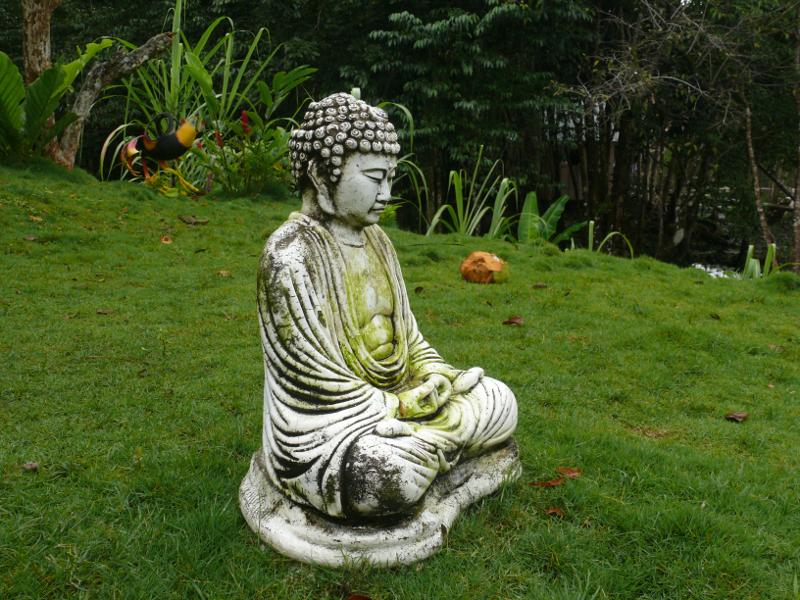 Vermooster Buddha, Texan Bay 