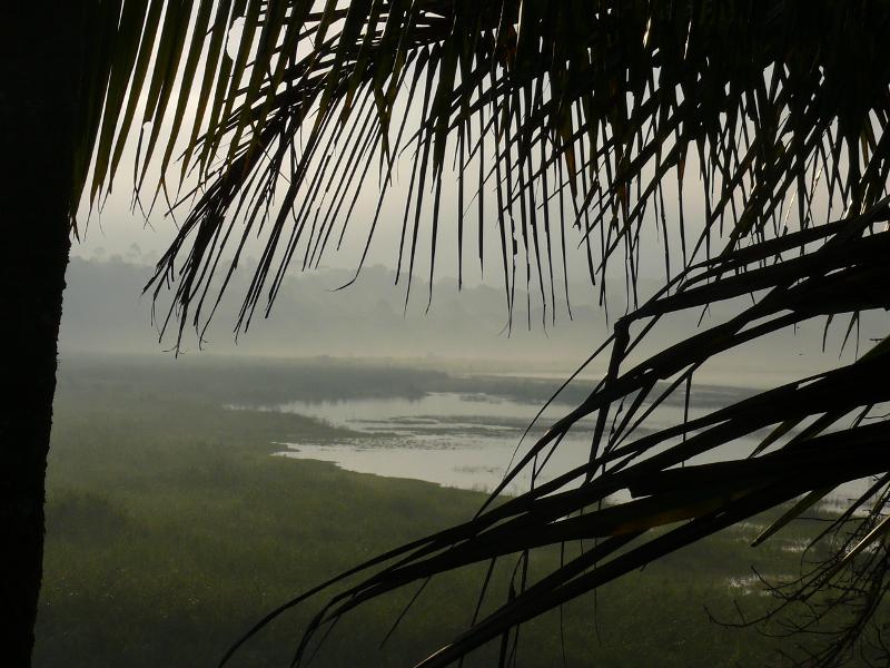 Morgenstimmung am Lago Yojoa 