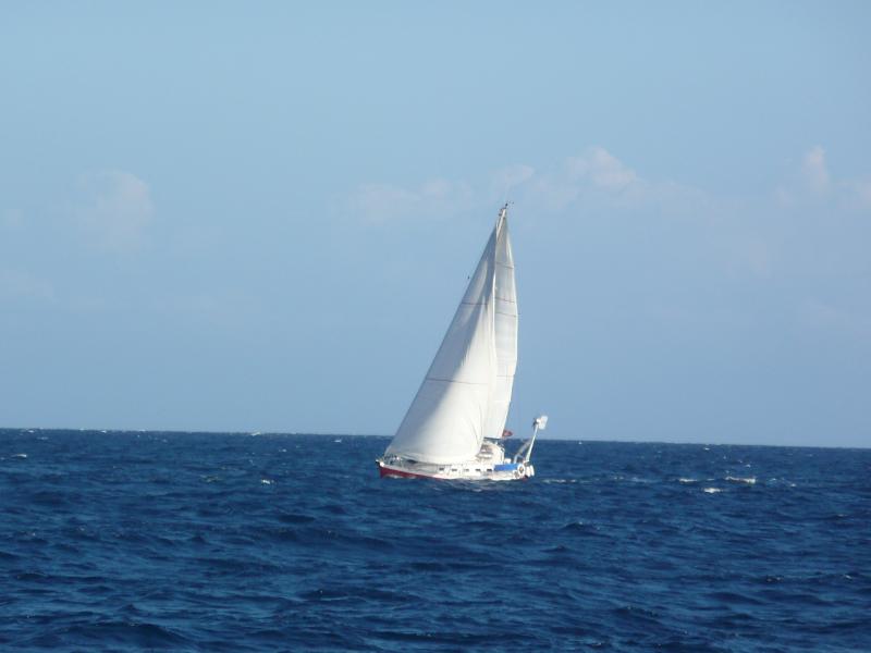 Suleika in voller Fahrt (Photo von SY Yvonne) 