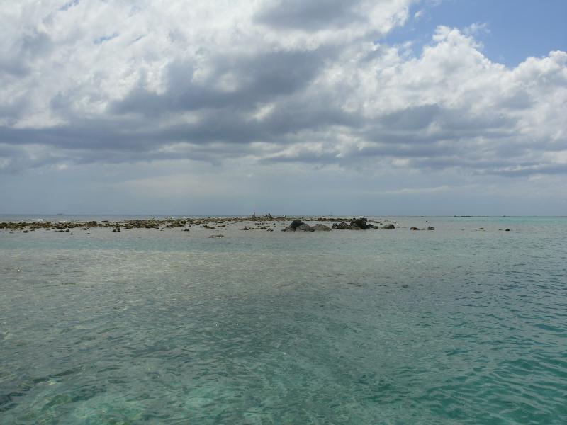 Riff von French Cay Harbour, Roatan 