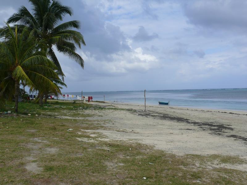 Strand von 