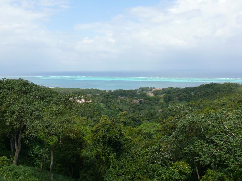 Riff an der Nordküste von Roatan 