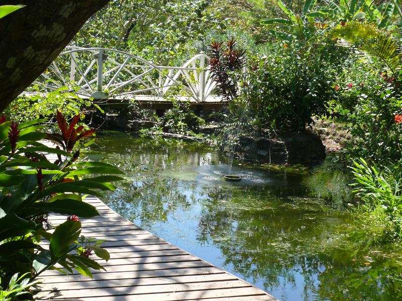 die Gartenanlage, Mango Creek Resort 