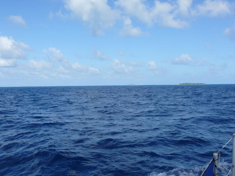 Vivorillos erscheint am Horizont 
