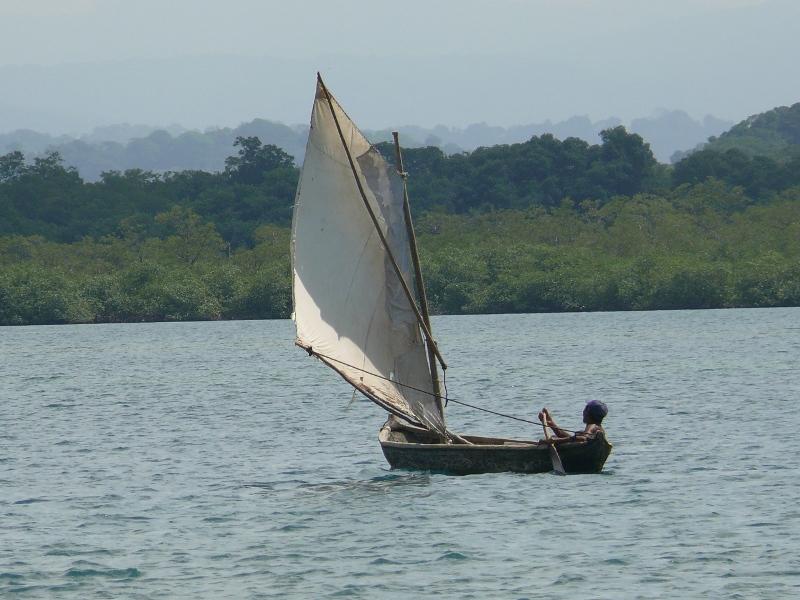 Segler bei Ali Tupu 