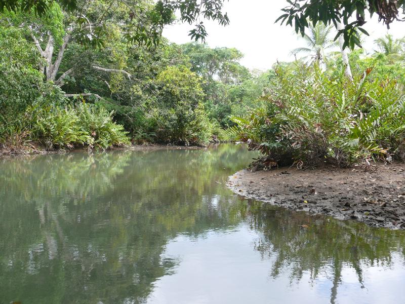 Rio Torti, wo wir mit dem Dingi Wasser holten und Wäsche wuschen 