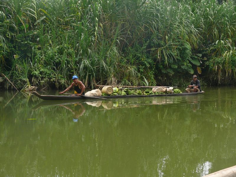 Gegenverkehr im Rio Mandangi 
