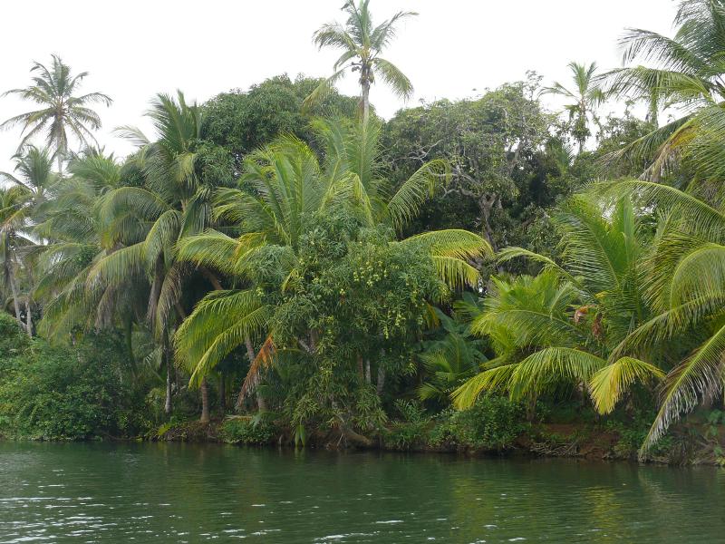 Rio Diablo, Narganá 