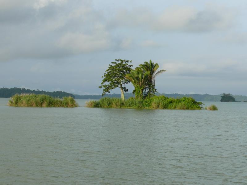 Gatunsee 