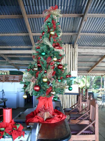Weihnachten 2008, Tortugal Marina 