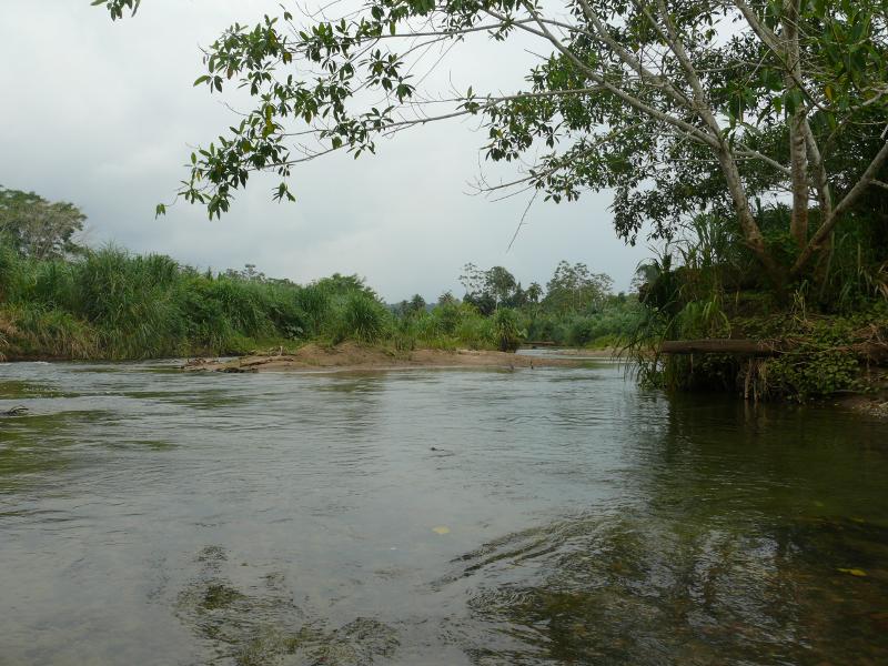 Flussaufwärts, Rio Mandangi 