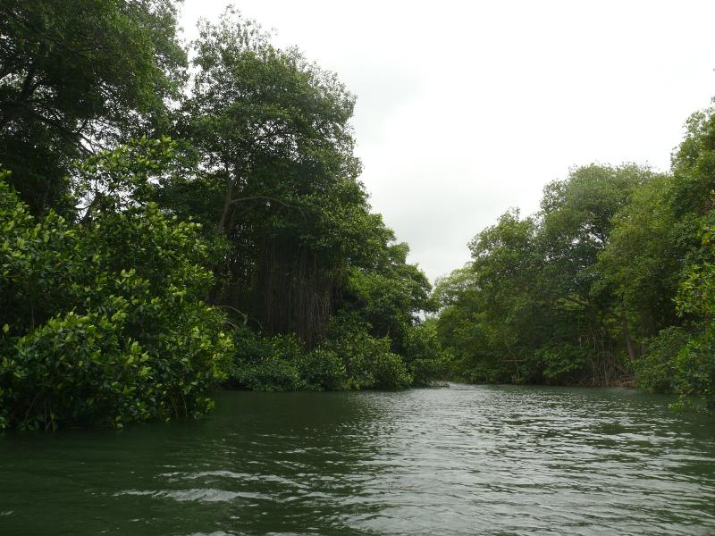 Rio Diablo 