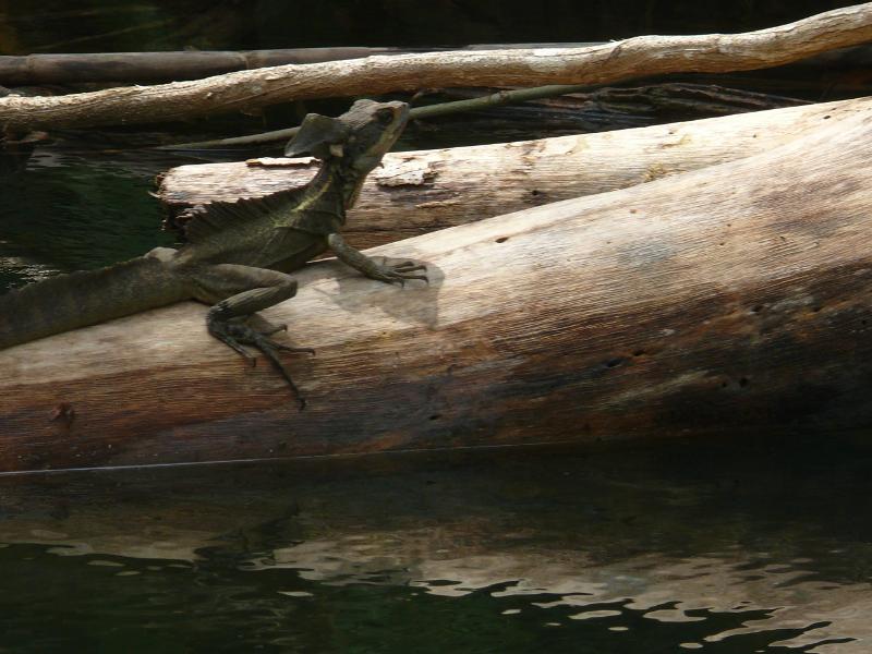 Bewohner, Rio Diablo 