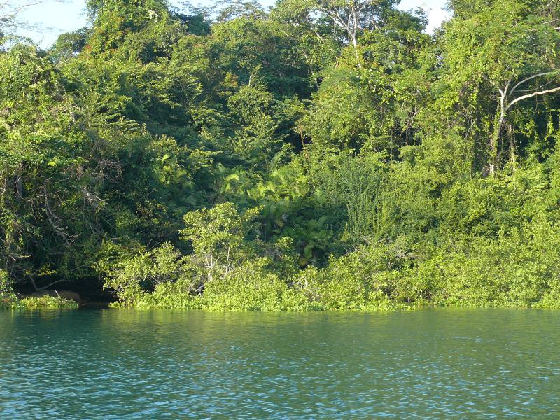 Isla Mamey bei Flut 