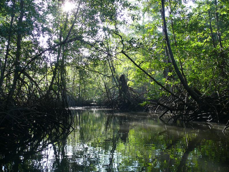 Rio Cacique 