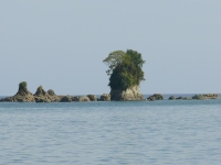 Klicken für grosses Bild