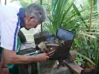 Klicken für grosses Bild