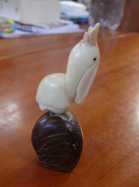 Unser Schiffspelikan aus Tagua 
