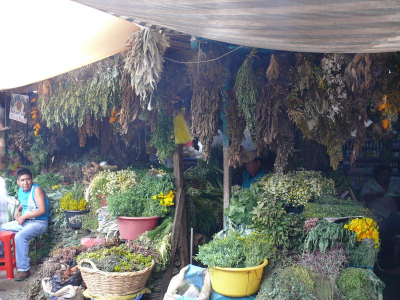 Mercado de los Brujos, Heilkräuter 