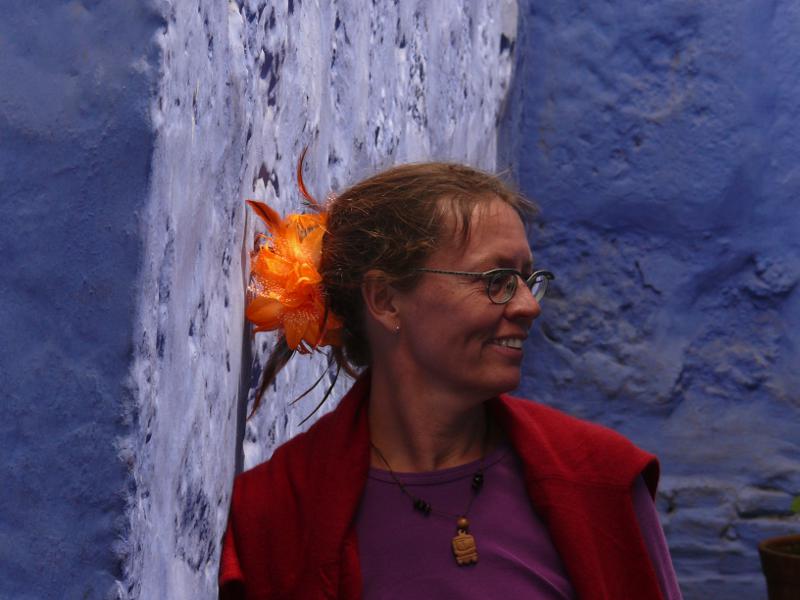 Schöner Haarschmuck 