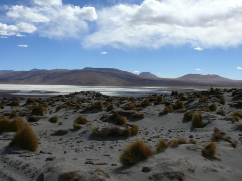 Laguna Colorada 