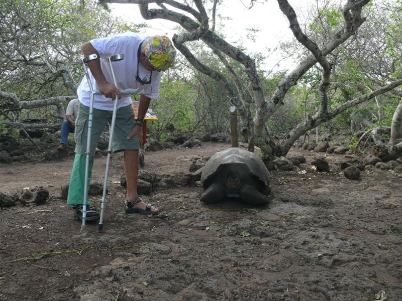 Zweihunderjährige Riesenschildkröte 