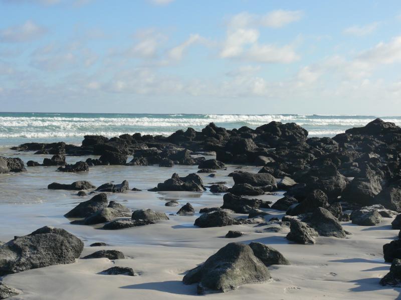 Bahía Tortuga, Santa Cruz 