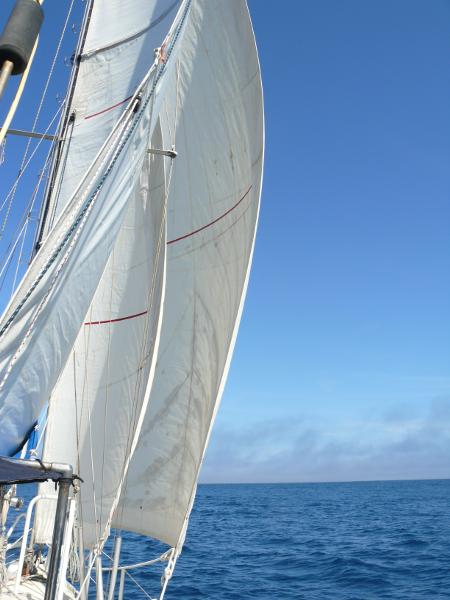 Freude am Segeln 