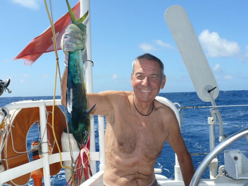 Unser erster Fisch, ein Mahi–Mahi – 1,2 kg und 62 cm 