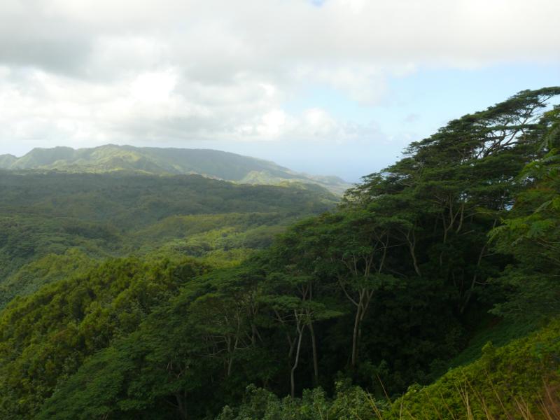 Tropischer Regenwald, Hiva Oa 