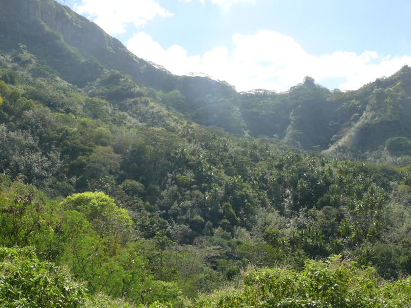 Tal oberhalb Taiohae 