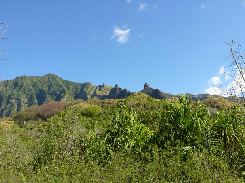 Exotische Landschaft 