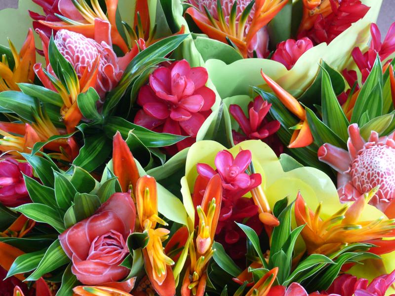Exotische Blumensträusse 