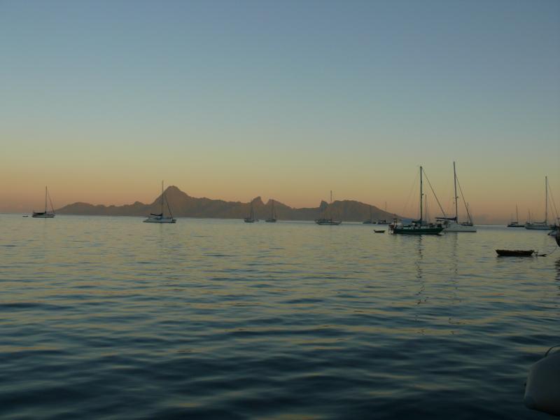 Moorea vom Schiff aus 