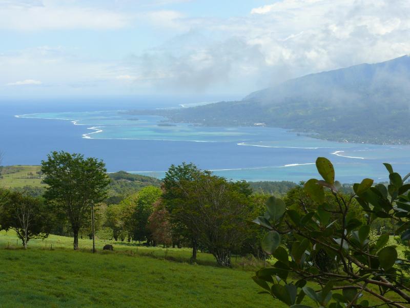 Riff auf der Westseite von Tahiti 
