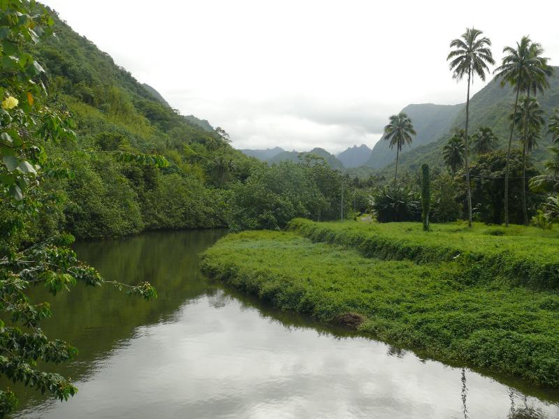 Tal an der Ostseite von Tahiti 