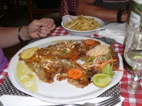 Klicken für grosses Bild