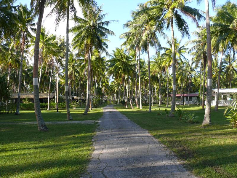 Sunset Beach Hotel in der Palmenplantage 
